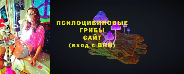 spice Ладушкин