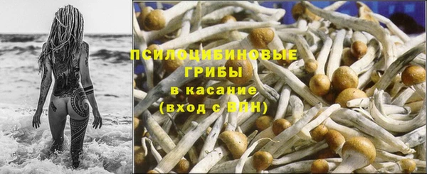 spice Ладушкин