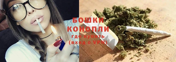 PSILOCYBIN Лабытнанги